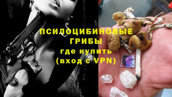 гидропоника Богородицк
