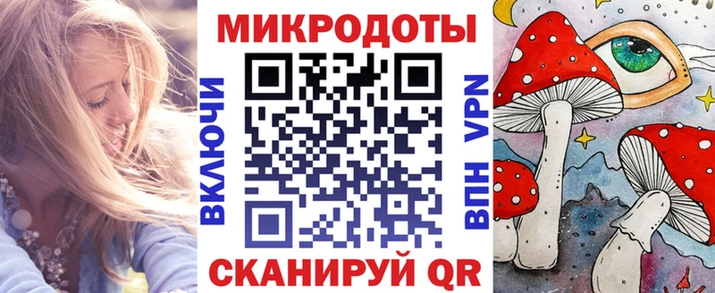 Купить где Томмот Псилоцибиновые грибы прущие грибы